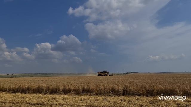 Уборка ячменя 2021! Сорт " Казанова". No-till 28.06.2021 смотреть онлайн