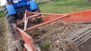 #УБОРКА КАРТОФЕЛЯ#2021#ТРАКТОР Т-40 В ДЕЛЕ КТН-2В#СТАРИЧЕК В ХОРОШЕМ ЗАРЯЖЕНОМ СОСТОЯНИИ#