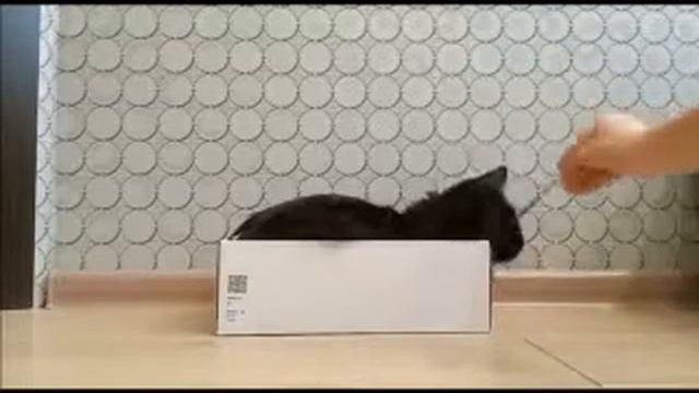 Мой дом-моя крепость смотреть онлайн