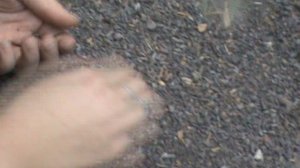 На раскопках