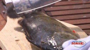 Электрическая рыбочистка EFS1