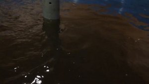 обзор новой улучшенной узв для форели и осетров . Спустя неделю проблем нет !!!