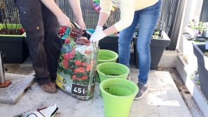 ПРЕОБРАЖЕНИЕ ОТКРЫТОГО БАЛКОНА ДО И ПОСЛЕ ? ЦВЕТУЩИЙ БАЛКОН ? ЧТО ПОСАДИТЬ НА БАЛКОНЕ ☘?