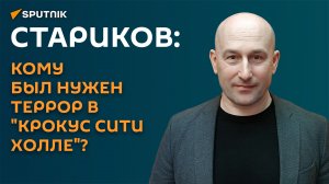 Стариков: террор -  это всегда средство воздействия одного государства на другое