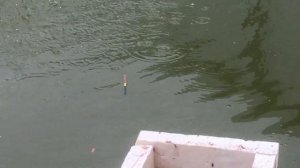 Биоплато для пруда своими руками / биоплато на моём примере