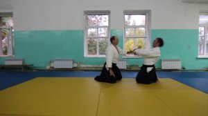 2014 Плановая тренировка по айкидо