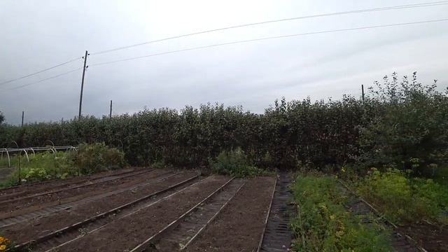 Какой он....ПОСЛЕДНИЙ день лета.