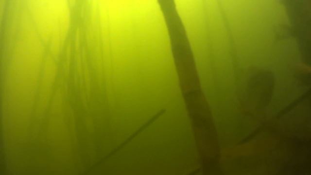 Рыбалка по первому льду на озере Таволжан. Зимняя рыбалка 2014-2015 на карася. смотреть онлайн