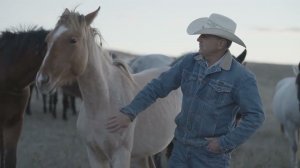 Лошади Фрэнка - Трейлер (2024)