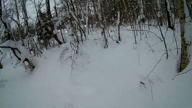 Один день на охоте