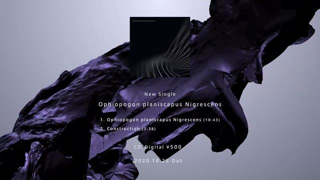 Ophiopogon planiscapus Nigrescens (Trailer) - Hello1103 смотреть онлайн