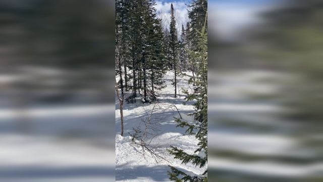 Как мы сезон закрывали. Горные снегоходы в горах. смотреть онлайн