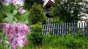 Посвящается нашим любимым бабушкам