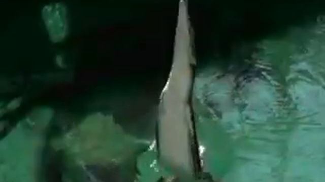 Нравится мне с тобою нравится мне . За руку ..... смотреть онлайн