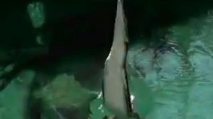 Нравится мне с тобою нравится мне . За руку .....