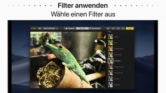 So bearbeitest du Fotos auf deinem Mac смотреть онлайн