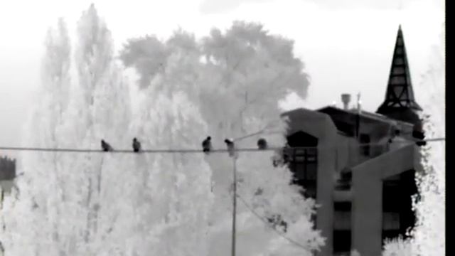 монокуляр S230-37 смотреть онлайн