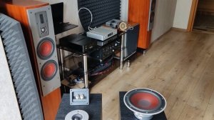 55 Dali ZENSOR 3 знакомство и апгрейд