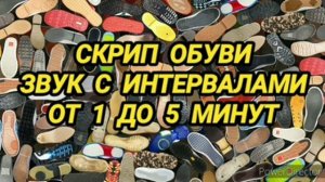 Ответ шумным соседям. Скрип обуви на 12 часов