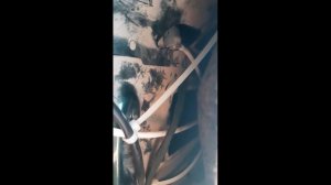 Как открыть крышку багажника Mercedes-Benz  w202, w210