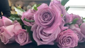 Что такое ФЛОРИСТИКА