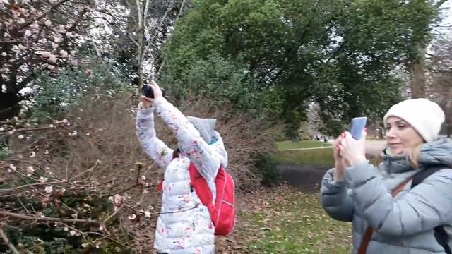 Лондон. Январь 2020. День 1 смотреть онлайн