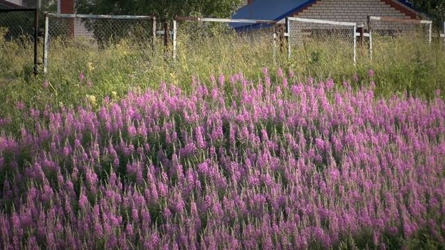 Деревня Гажакерес, Республика Коми (звук) смотреть онлайн