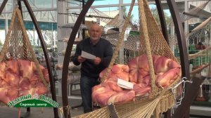 Вопросы, бурая пятнистость томатов и бактериоз чеснока