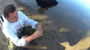 рыбалка в Приволжском(Волгоградская обл.)