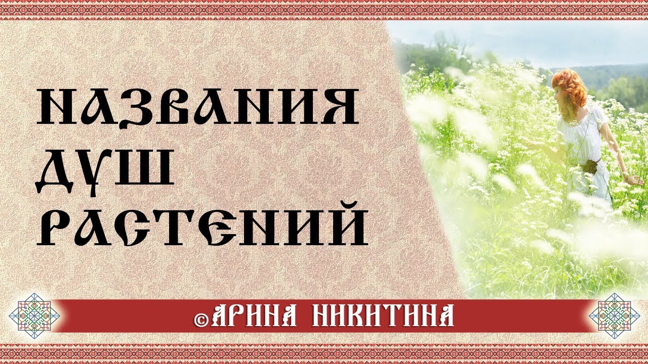 Название души. Душа название. Арина Никитина травы. Ведунья Арина Никитина как связь с Богом.