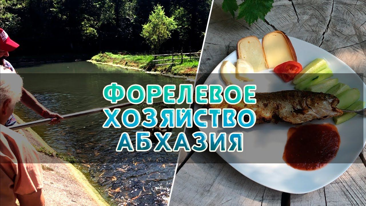 Форелевое хозяйство в Абхазии. Готовим форель на углях.