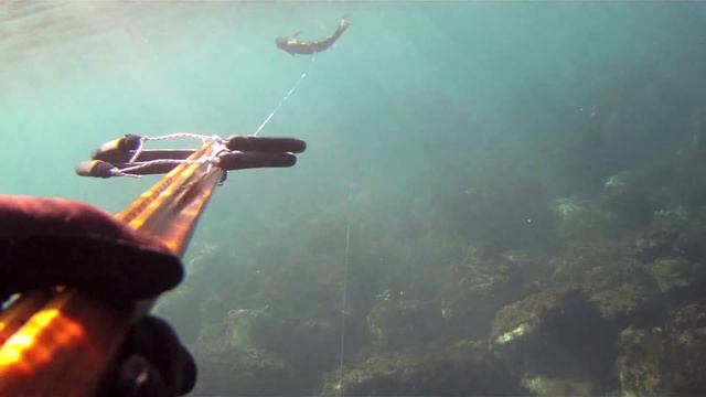 VPS Riposto 24 12 11 смотреть онлайн