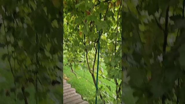 базаотдыха#геленджик#прокатавтолайн#
