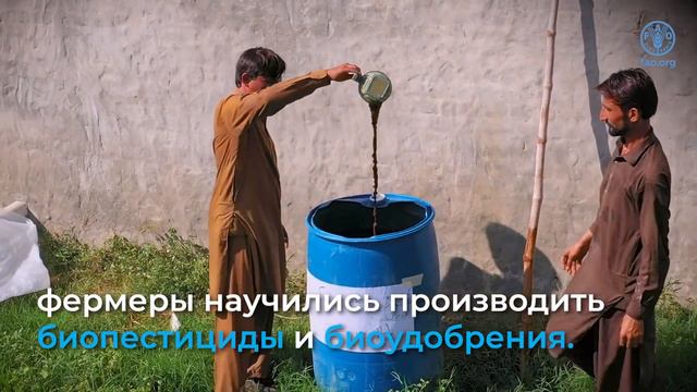 Achieving a better environment in Asia-Pacific through green and climate resilient agriculture (RU) смотреть онлайн