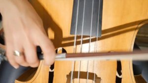 Paint it black/ cover Violin Cello