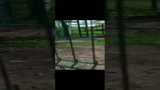  смотреть онлайн