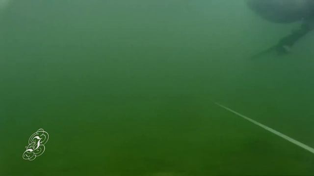 Подводная охота Сазаны Суперпрозрак смотреть онлайн