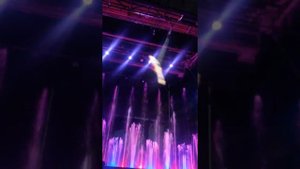 Воздушная гимнастика на качелях. Шоу "Мечта". Цирк Танцующих Фонтанов "Аквамарин"