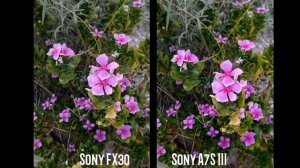 Sony FX30 VS Sony A7S III Camera Test Comparison