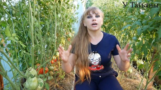 4 ПОЧЕМУ ПОМИДОРЫ НЕ ЗАВЯЗЫВАЮТСЯ КАК БЕШЕНЫЕ?! смотреть онлайн