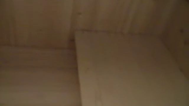 Клетки в Санкт-Петербурге. Домик для кошек в Санкт-Петербурге. смотреть онлайн