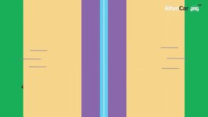 Почему лучше покупать автомобиль в AltynCar?!