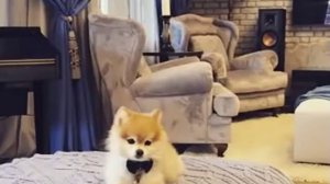 ПРЕСНЯКОВ И ПОДОЛЬСКАЯ ПОКАЗАЛИ СВОЙ ШИКАРНЫЙ ДОМ