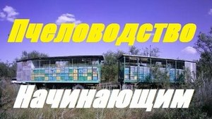 Пчелоприцеп кочевой.Пчёлы в городе на приусадебном участке.