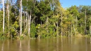 Lancha a jato Belíssima navegando em um "furo" no rio Juruá. Viagem de Tefé para Carauari, Amazonas