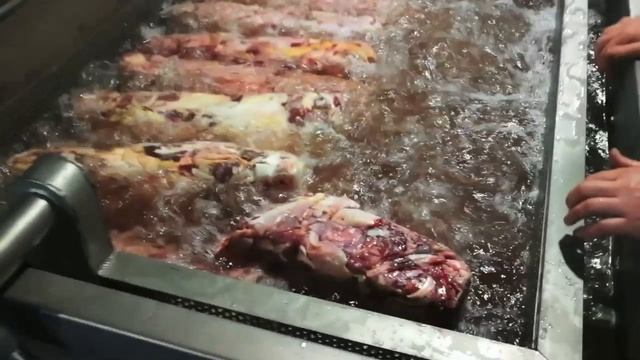 Дефростер водяной для разморозки рыбы или мяса