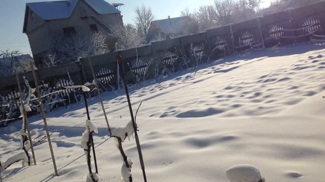 РАСЧИСТИЛИ ДОРОЖКИ ОТ СНЕГА, ЗЯТЬ ПРИКАЛЫВАЕТСЯ. смотреть онлайн