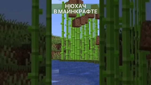 Нюхач в Майнкрафте? Про семена. #minecraft #майнкрафт #нюхач #озвучка #перевод #вмайнкрафте