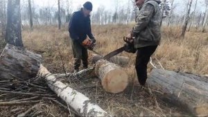 В умелых руках и бензопила ZimAni может стать Штилем. Бензопила ZimAni MS361.