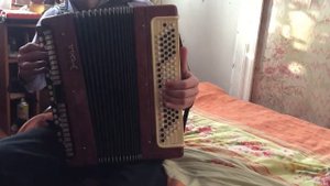 The Medallion Calls ( кавер на баяне )